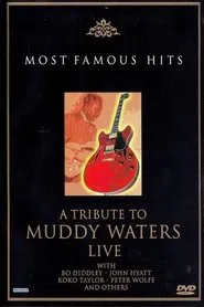 A Tribute to Muddy Waters - Live movie poster