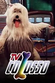 TV Colosso tv show poster