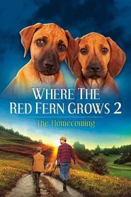 Where The Red Fern Grows Part 2 movie poster