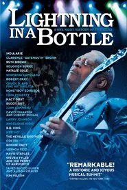 Lightning in a Bottle movie poster