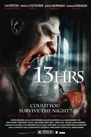 Poster do filme 13Hrs