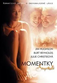 Snapshots movie poster