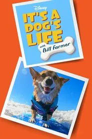 It's a Dog's Life with Bill Farmer tv show poster