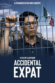 Accidental Expat movie poster