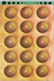 Savory Selections movie poster