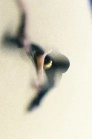 Renchik movie poster