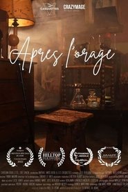 Après l'orage movie poster