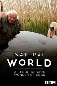 Attenborough's Wonder of Eggs movie poster