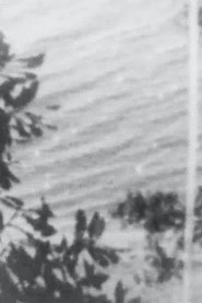 Point Chevalier Beach movie poster