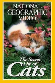 Poster da série 猫的秘密生活