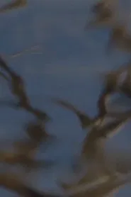 Monte Verita movie poster