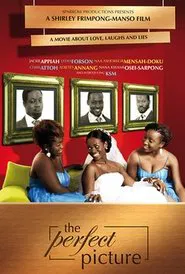 The Perfect Picture movie poster