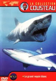 La Collection Cousteau N° 1 | Le Grand Requin Blanc | Les Requins Dormeurs Du Yucatan movie poster