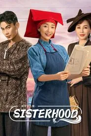 Sisterhood tv show poster