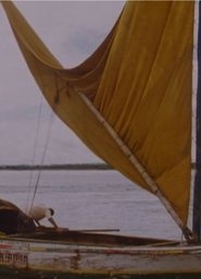 Brazil 84 movie poster