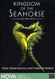 Kingdom of the Seahorse movie poster