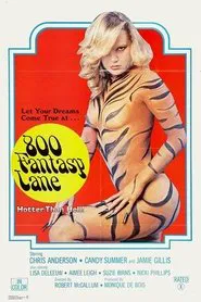 800 Fantasy Lane movie poster