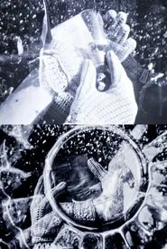 Poster do filme The Book of Natural Magic