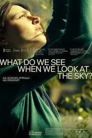 What Do We See When We Look at the Sky? movie poster