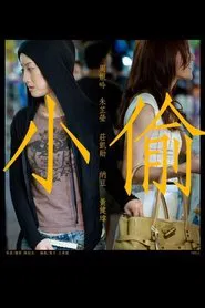 Poster do filme Thief