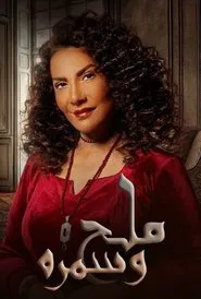 Salt and Evening tv show poster