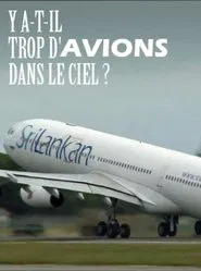 Y a-t-il trop d'avions dans le ciel ? movie poster