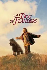 Poster do filme Em Busca de um Sonho