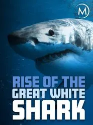 Rise Of The Great White Shark movie poster