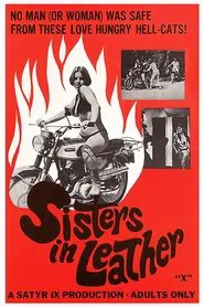 Sisters in Leather movie poster