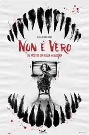 Non è vero movie poster