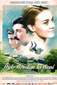 Öyle Sevdim ki Seni movie poster