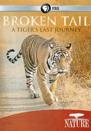 Broken Tail: A Tiger's Last Journey movie poster