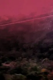 Poster do filme Scene Box