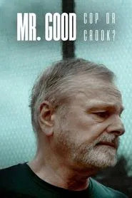 Mr. Good: Cop or Crook? tv show poster