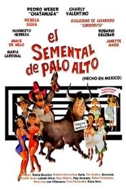 El semental de Palo Alto movie poster