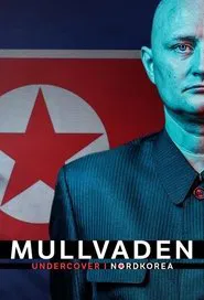 The Mole - Infiltrating North Korea tv show poster