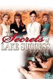 The Secrets of Lake Success tv show poster