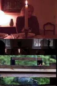 The Bird Feeders movie poster