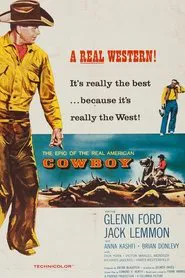 Cowboy movie poster