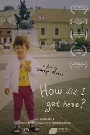 How did I get here? movie poster