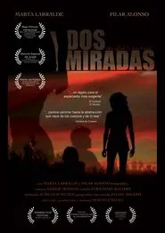 Poster do filme Two Looks