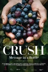 Crush: Message in a bottle movie poster