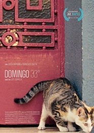 Domingo 33° movie poster