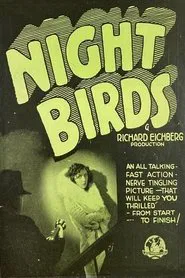 Night Birds movie poster