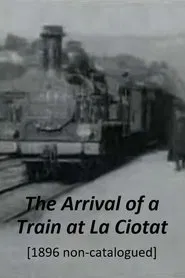 Train Pulling into a Station movie poster