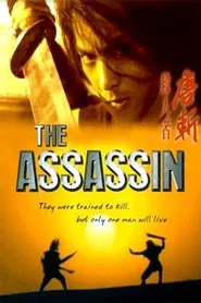 The Assassin movie poster