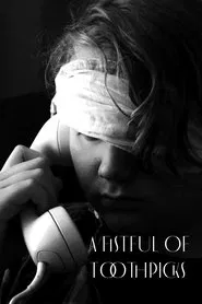 A Fistful of Toothpicks movie poster