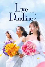 Poster da série O Amor Não Espera