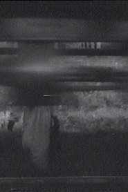 The Sparrow movie poster