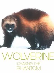Wolverine - Chasing the Phantom movie poster